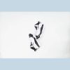 Nike Jordan 6 Rings White/Black/Dark Concord/Clear